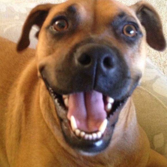 👉🏽👉🏽👉🏽 randomly ready (😆)! 👀👀👀 - Picture 4 of 7